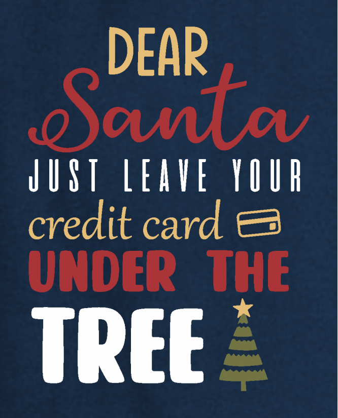 džemperis   Santa's credit card
